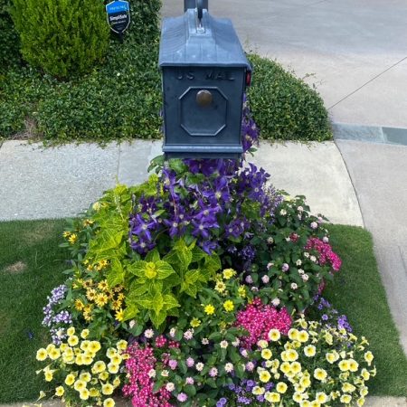 BB6C1A43-6BA3-4237-82B8-7D69FA56D28E